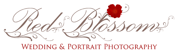 Columbia, Missouri Wedding and Portrait Photographer