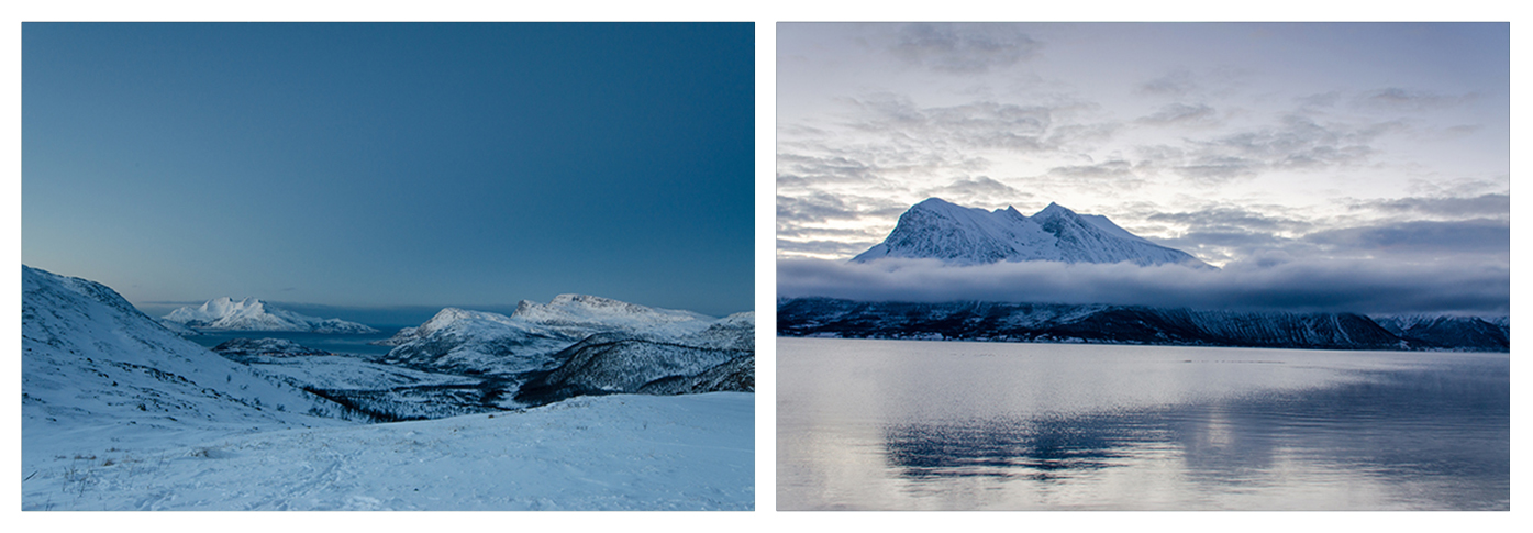 Arctic Norway Landscape